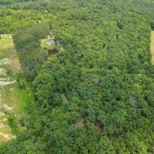 Photo #63 of 967 Ampthill Road, Cartersville, VA 10.0 acres