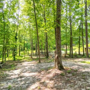 Photo #52 of 967 Ampthill Road, Cartersville, VA 10.0 acres