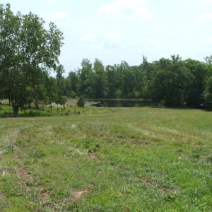 Photo #22 of 9625 Lunenburg County Road, Keysville, VA 25.2 acres