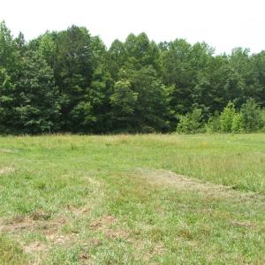 Photo #23 of 9625 Lunenburg County Road, Keysville, VA 25.2 acres