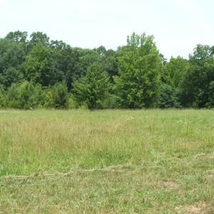 Photo #24 of 9625 Lunenburg County Road, Keysville, VA 25.2 acres