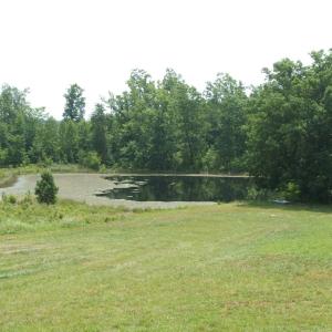 Photo #26 of 9625 Lunenburg County Road, Keysville, VA 25.2 acres