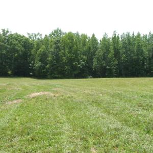Photo #27 of 9625 Lunenburg County Road, Keysville, VA 25.2 acres