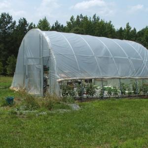 Photo #28 of 9625 Lunenburg County Road, Keysville, VA 25.2 acres