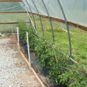 Photo #30 of 9625 Lunenburg County Road, Keysville, VA 25.2 acres