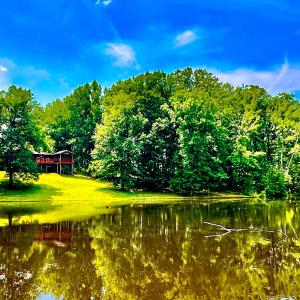Photo #6 of 5280 Meherrin Rd., Meherrin, VA 24.7 acres