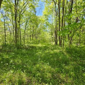 Photo #42 of 522 Saylers Hill Drive, Rice, VA 49.3 acres