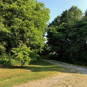 Photo #54 of 522 Saylers Hill Drive, Rice, VA 49.3 acres