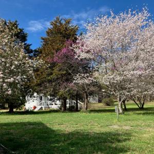 Photo #56 of 522 Saylers Hill Drive, Rice, VA 49.3 acres