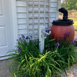 Photo #59 of 522 Saylers Hill Drive, Rice, VA 49.3 acres