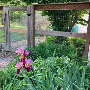 Photo #62 of 522 Saylers Hill Drive, Rice, VA 49.3 acres