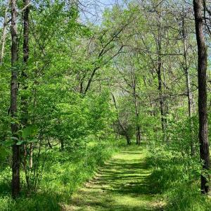 Photo #63 of 522 Saylers Hill Drive, Rice, VA 49.3 acres