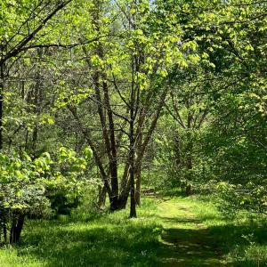Photo #64 of 522 Saylers Hill Drive, Rice, VA 49.3 acres