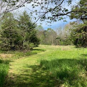 Photo #65 of 522 Saylers Hill Drive, Rice, VA 49.3 acres