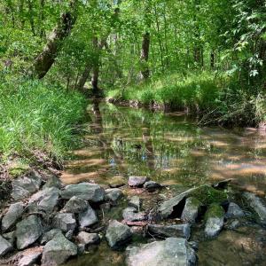 Photo #66 of 522 Saylers Hill Drive, Rice, VA 49.3 acres