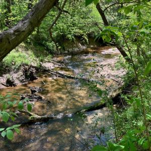 Photo #67 of 522 Saylers Hill Drive, Rice, VA 49.3 acres
