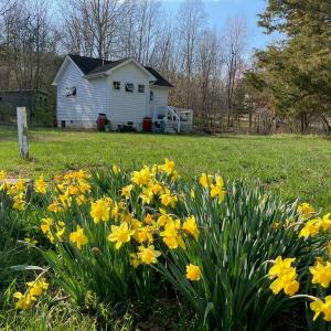 Photo #69 of 522 Saylers Hill Drive, Rice, VA 49.3 acres