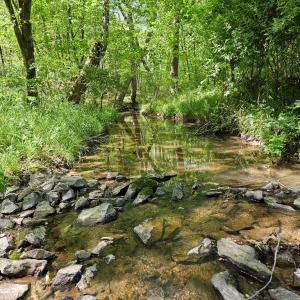 Photo #74 of 522 Saylers Hill Drive, Rice, VA 49.3 acres