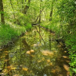 Photo #78 of 522 Saylers Hill Drive, Rice, VA 49.3 acres