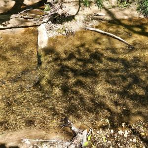 Photo #79 of 522 Saylers Hill Drive, Rice, VA 49.3 acres