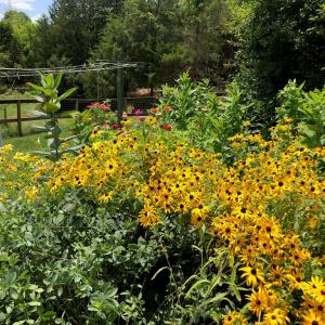 Photo #8 of 522 Saylers Hill Drive, Rice, VA 49.3 acres