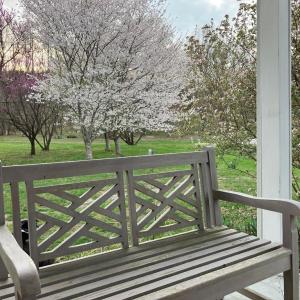 Photo #55 of 522 Saylers Hill Drive, Rice, VA 49.3 acres