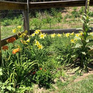 Photo #61 of 522 Saylers Hill Drive, Rice, VA 49.3 acres