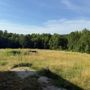 Photo #10 of 1547 Wilson Rd, LaCrosse, VA 20.7 acres