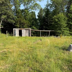 Photo #11 of 1547 Wilson Rd, LaCrosse, VA 20.7 acres