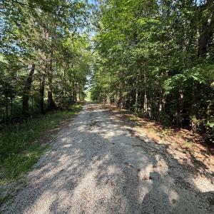 Photo #3 of 1547 Wilson Rd, LaCrosse, VA 20.7 acres