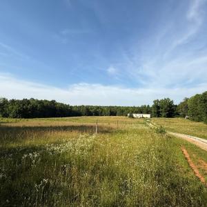 Photo #4 of 1547 Wilson Rd, LaCrosse, VA 20.7 acres