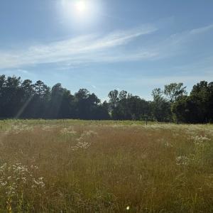 Photo #5 of 1547 Wilson Rd, LaCrosse, VA 20.7 acres