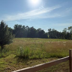 Photo #7 of 1547 Wilson Rd, LaCrosse, VA 20.7 acres