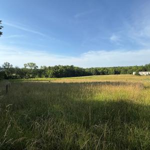Photo #8 of 1547 Wilson Rd, LaCrosse, VA 20.7 acres