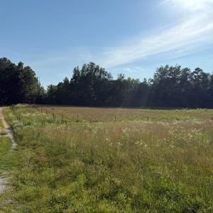 Photo #9 of 1547 Wilson Rd, LaCrosse, VA 20.7 acres