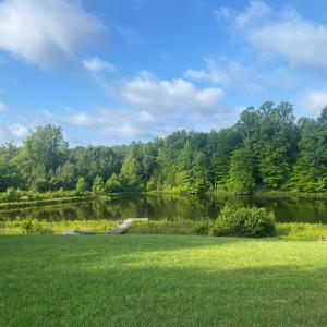 Photo #10 of 4554 PLANK RD, Kenbridge, VA 34.1 acres
