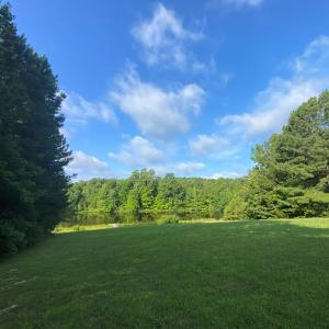 Photo #11 of 4554 PLANK RD, Kenbridge, VA 34.1 acres
