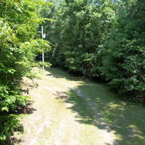 Photo #12 of 4554 PLANK RD, Kenbridge, VA 34.1 acres