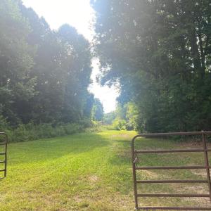 Photo #13 of 4554 PLANK RD, Kenbridge, VA 34.1 acres