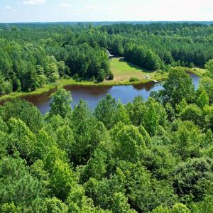 Photo #2 of 4554 PLANK RD, Kenbridge, VA 34.1 acres