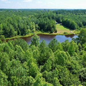 Photo #3 of 4554 PLANK RD, Kenbridge, VA 34.1 acres
