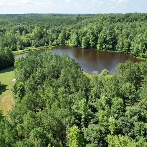 Photo #4 of 4554 PLANK RD, Kenbridge, VA 34.1 acres