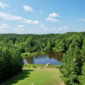 Photo #5 of 4554 PLANK RD, Kenbridge, VA 34.1 acres
