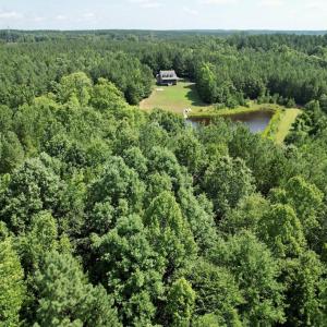 Photo #8 of 4554 PLANK RD, Kenbridge, VA 34.1 acres