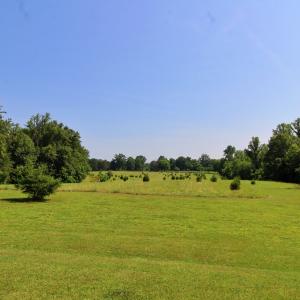 Photo #11 of 1967 Cub Creek Rd, Appomattox, VA 70.8 acres