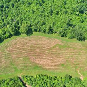Photo #59 of 1967 Cub Creek Rd, Appomattox, VA 70.8 acres