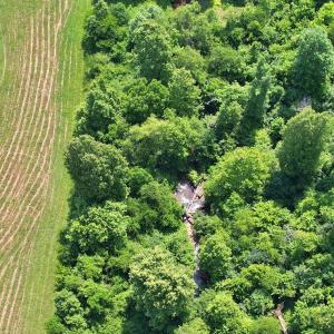 Photo #60 of 1967 Cub Creek Rd, Appomattox, VA 70.8 acres