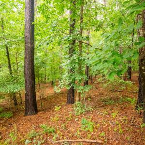 Photo #45 of 450 Sunrise Lane, Rice, VA 3.3 acres
