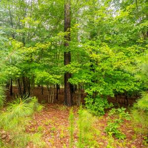 Photo #46 of 450 Sunrise Lane, Rice, VA 3.3 acres