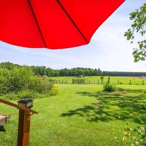 Photo #58 of 3261 Alvis, LaCrosse, VA 15.0 acres